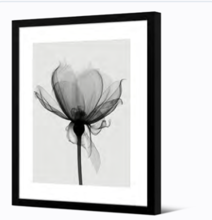 IMAGE ENCADREE CADRE NOIR 50X70cm