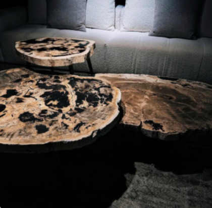 TABLE BASSE BOIS PETRIFIE GM