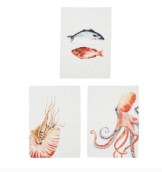 Torchon Imprimé – Poissons (50 × 70 cm)